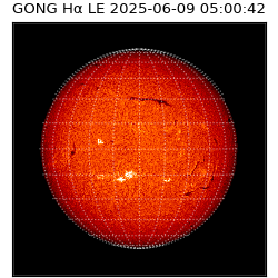 gong - 2025-06-09T05:00:42