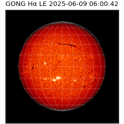 gong - 2025-06-09T06:00:42
