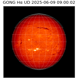 gong - 2025-06-09T09:00:02
