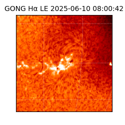 gong - 2025-06-10T08:00:42