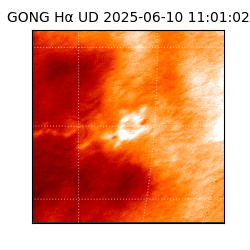 gong - 2025-06-10T11:01:02