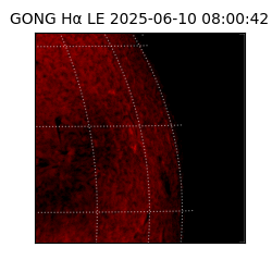 gong - 2025-06-10T08:00:42