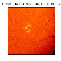 gong - 2025-06-10T01:00:02