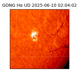 gong - 2025-06-10T02:04:02