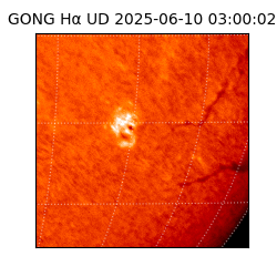gong - 2025-06-10T03:00:02