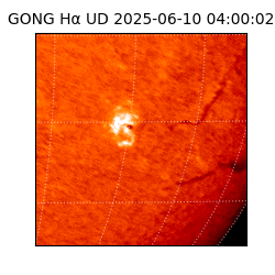 gong - 2025-06-10T04:00:02