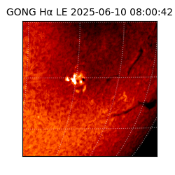 gong - 2025-06-10T08:00:42