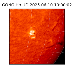 gong - 2025-06-10T10:00:02