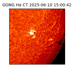 gong - 2025-06-10T15:00:42