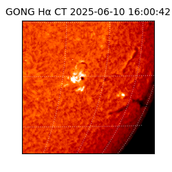 gong - 2025-06-10T16:00:42