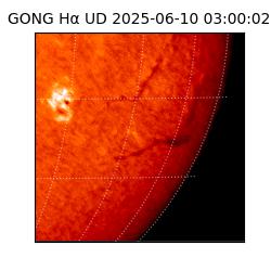 gong - 2025-06-10T03:00:02