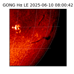gong - 2025-06-10T08:00:42