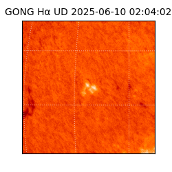 gong - 2025-06-10T02:04:02