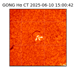 gong - 2025-06-10T15:00:42