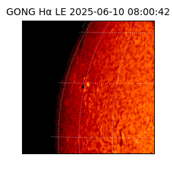 gong - 2025-06-10T08:00:42
