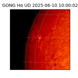 gong - 2025-06-10T10:00:02