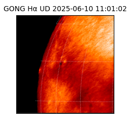 gong - 2025-06-10T11:01:02