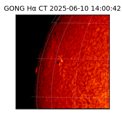 gong - 2025-06-10T14:00:42