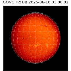 gong - 2025-06-10T01:00:02