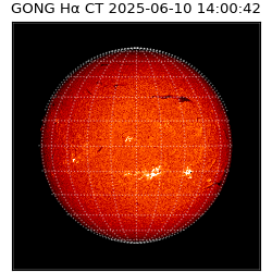 gong - 2025-06-10T14:00:42