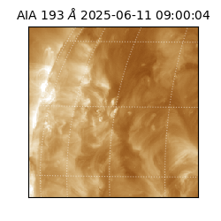 saia - 2025-06-11T09:00:04.843000