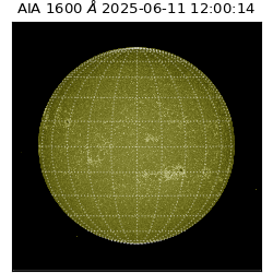 saia - 2025-06-11T12:00:14.132000