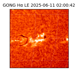gong - 2025-06-11T02:00:42