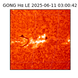 gong - 2025-06-11T03:00:42