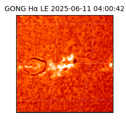 gong - 2025-06-11T04:00:42