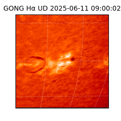 gong - 2025-06-11T09:00:02