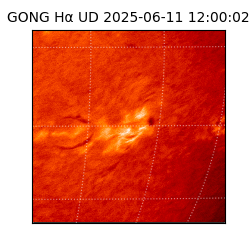 gong - 2025-06-11T12:00:02
