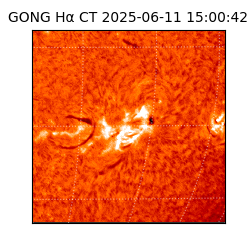 gong - 2025-06-11T15:00:42