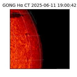 gong - 2025-06-11T19:00:42