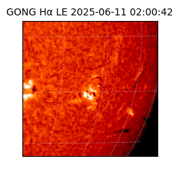 gong - 2025-06-11T02:00:42