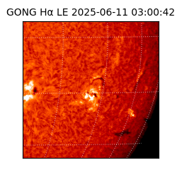 gong - 2025-06-11T03:00:42