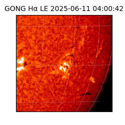 gong - 2025-06-11T04:00:42