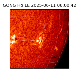 gong - 2025-06-11T06:00:42