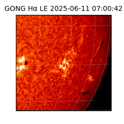 gong - 2025-06-11T07:00:42