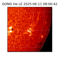 gong - 2025-06-11T08:00:42