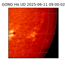 gong - 2025-06-11T09:00:02