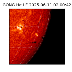 gong - 2025-06-11T02:00:42