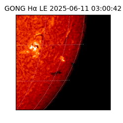 gong - 2025-06-11T03:00:42