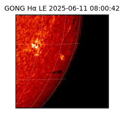 gong - 2025-06-11T08:00:42