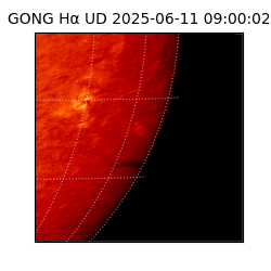 gong - 2025-06-11T09:00:02