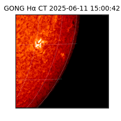 gong - 2025-06-11T15:00:42