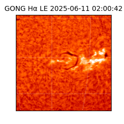 gong - 2025-06-11T02:00:42