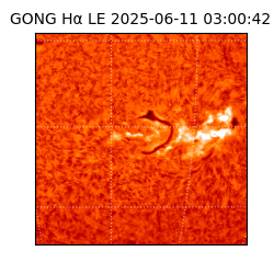 gong - 2025-06-11T03:00:42