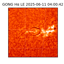 gong - 2025-06-11T04:00:42