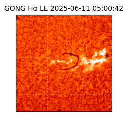 gong - 2025-06-11T05:00:42