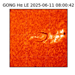 gong - 2025-06-11T08:00:42